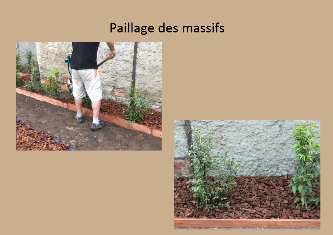 Paillage de massifs