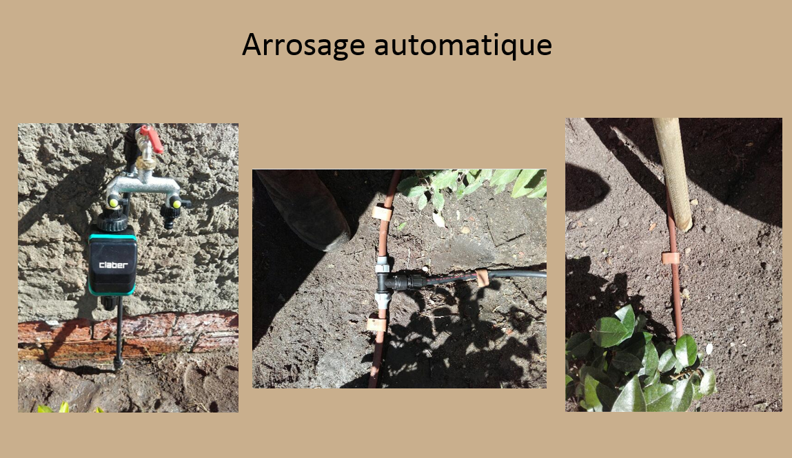 Arrosage automatique