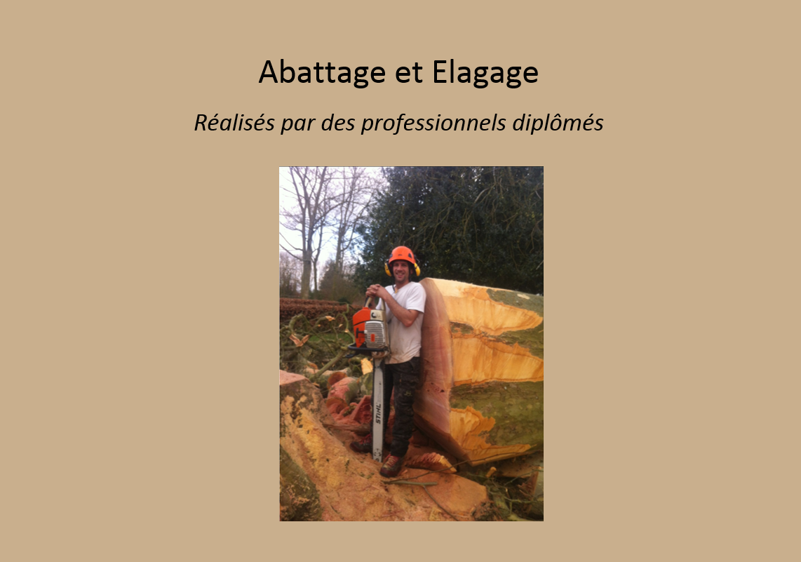 Abattage et élagage